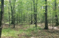 974 Merrifield Drive, Valley Grande, AL 36701