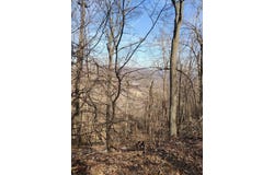 0 Bent Mountain RD, Bent Mountain, VA 24059
