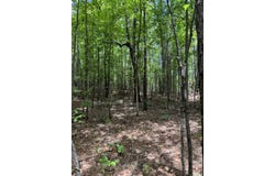 Geeville Road, Dumas, MS 38625