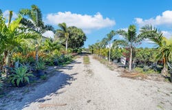 6747 Carol Street, Loxahatchee, FL 33470