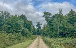 Tbd State 84 Highway, Longville, MN 56655