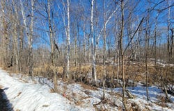 Meadow Lake Road SW, Motley, MN 56466