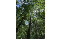160 Scenic Circle, Ringgold, GA 30736