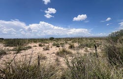 E Hwy 90, Marathon, TX 79842