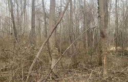 167 Rockingham Road, Duncan, SC 29334