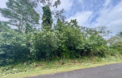 NENUE ST, Pahoa, HI 96778