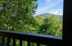 445 Orchid Trail, Clayton, GA 30525