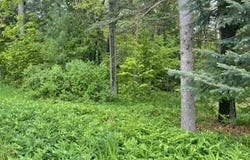 124 CADILLAC AVENUE, HOUGHTON LAKE, MI 48629
