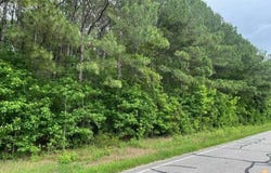 Point Caswell Road, Watha, NC 28478