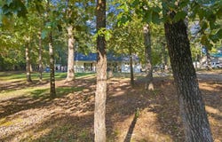 277 O'Neal Boulevard, Clifton, AR 72031