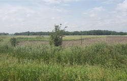 56520 365th Street, Manannah Twp, MN 55329