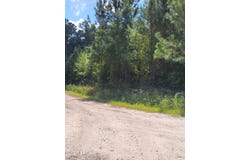 Tbd Tina Manker Road, Ridgeland, SC 29936