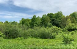 0 Bingham Collins Road, Columbus, NY 13460