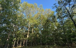 160 Steeple Point DR. Lot #9 Drive, Defiance, MO 63341