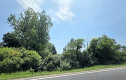Vl McBrides Road, Stanton, MI 48888