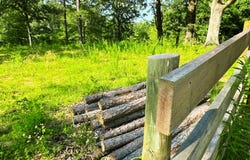 6335 Lake Hardeman Road, Saulsbury, TN 38067