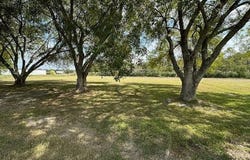 423 Cactus Road, Duson, LA 70529