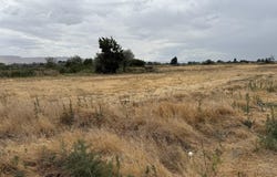 Tbd Patricia RD, Prosser, WA 99350
