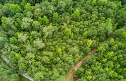 0 butts mill road, Pine Mountain, GA 31822