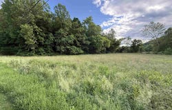 Co. Rd. 119, Ironton, OH 45638