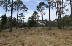 132 Timber Island Road, Carrabelle, FL 32322