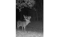 0 HWY 71, Alexandria, LA 71303