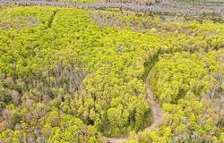 On FR 8300, Marenisco, MI 49947