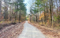 3 Off Madison 416, Fredericktown, MO 63645