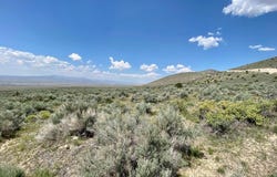 25355 Buffalo Canyon Road, Lovelock, NV 89419