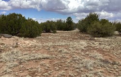 207 ACR 8056 Road, Concho, AZ 85924