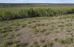 Tbd 39th Street SE, Baudette, MN 56623