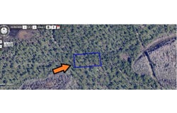 None Unknown, Grant, FL 32949
