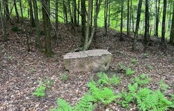 14785 UPHAM Lane, MOUNTAIN, WI 54149-0000