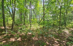 0 Harris Ridge Drive, Ellijay, GA 30540