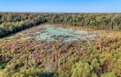 W Mitchell Rd # 1, Greenfield, TN 38230