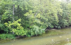 445 Elk Lake Resort Road, Owenton, KY 40359