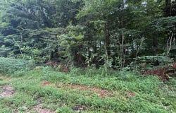 Lot 11 Pickett Ln, Jamestown, KY 42629
