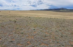 County Road 55 lot: 0, HARTSEL, CO 80449