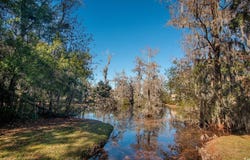 27 Pheasant Loop, Georgetown, SC 29440