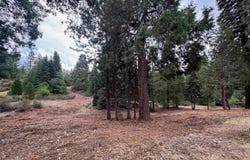 2430 Pine Grove Dr, Mt Shasta, CA 96067