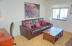 20853 HAULOVER Cove, LUTZ, FL 33558
