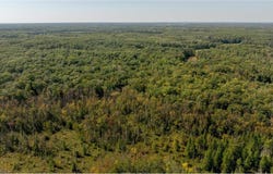 10567 Black Bear Road, Brainerd, MN 56401