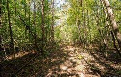 0  Beaver Dam Rd, Beaverdam, VA 23015