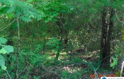 Lot 1 COUNTY ROAD 182, CLANTON, AL 35045