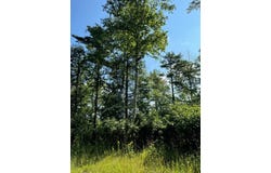 #5 Eagle Ledge Ln, Fish Creek, WI 54212