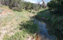 Tbd County Rd 272, Tuscola, TX 79562