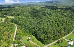 Middle Creek Road, Afton, TN 37616