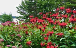 102 Justin Lane, Gouldsboro, ME 04607