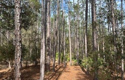 US Hwy 129, Bell, FL 32619