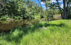 10465 Mason Road, Onaway, MI 49765